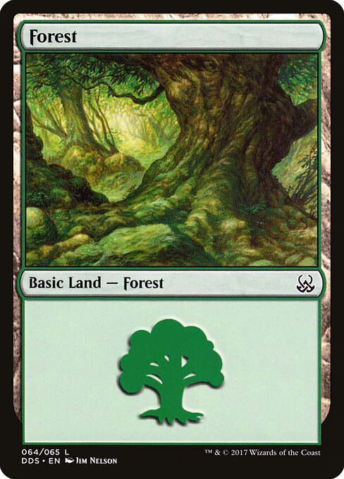 Forest — Duel Decks: Mind vs. Might #64, art by Jim Nelson