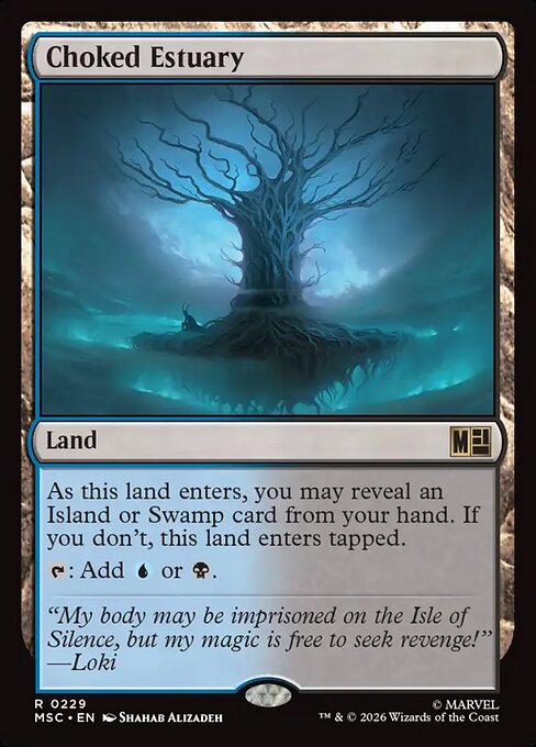 Choked Estuary