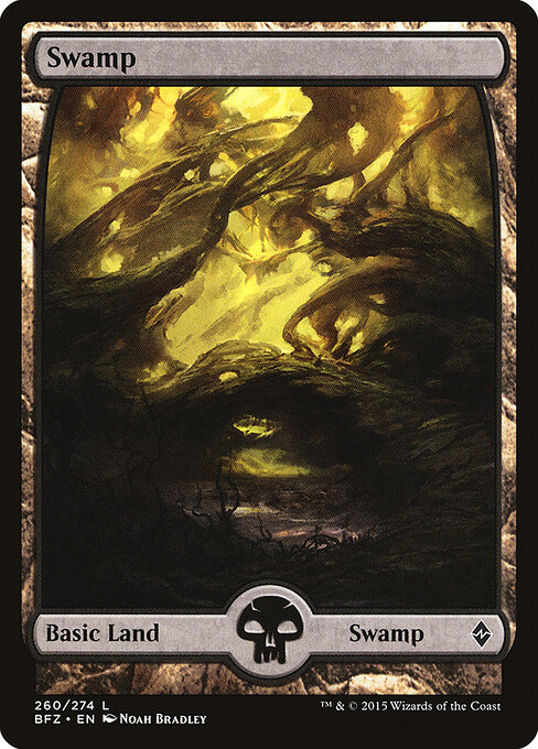 Swamp — Battle for Zendikar #260, art by Noah Bradley