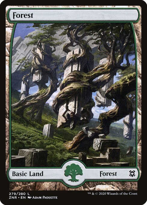 Forest — Zendikar Rising #279, art by Adam Paquette
