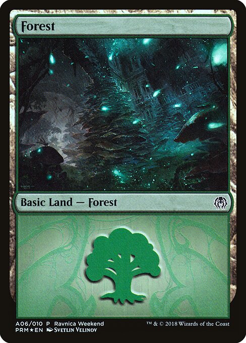 Forest — GRN Ravnica Weekend #A06, art by Svetlin Velinov