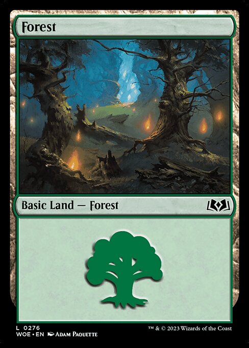 Forest — Wilds of Eldraine #276, art by Adam Paquette