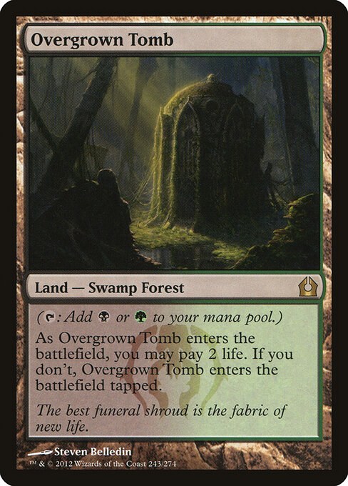 Overgrown Tomb — Return to Ravnica #243, art by Steven Belledin