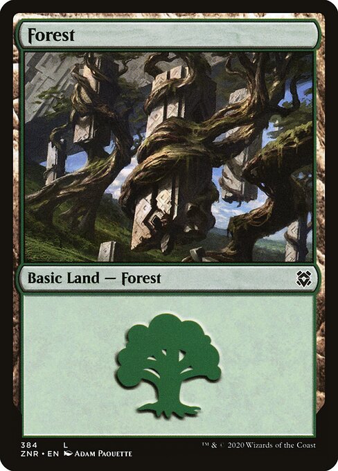 Forest — Zendikar Rising #384, art by Adam Paquette