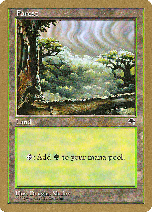 Forest — World Championship Decks 1998 #bs349, art by Douglas Shuler