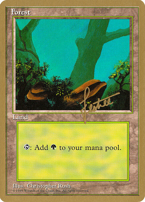 Forest — Pro Tour Collector Set #bl378, art by Christopher Rush