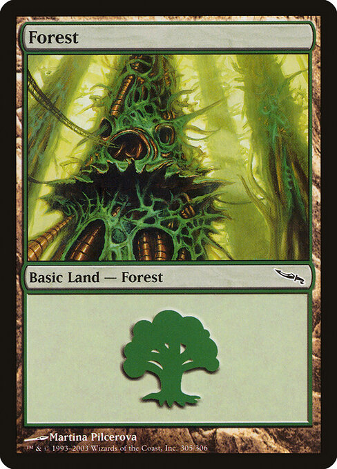 Forest — Mirrodin #305, art by Martina Pilcerova