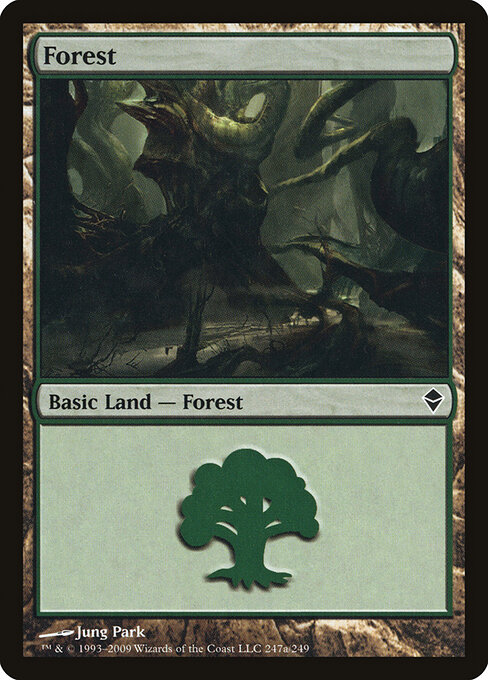 Forest — Zendikar #247a, art by Jung Park
