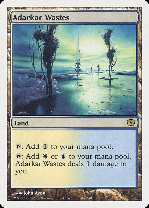 Adarkar Wastes — Ninth Edition #317, art by John Avon