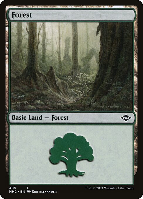 Forest — Modern Horizons 2 #489, art by Rob Alexander