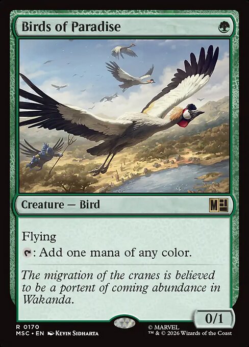 Birds of Paradise