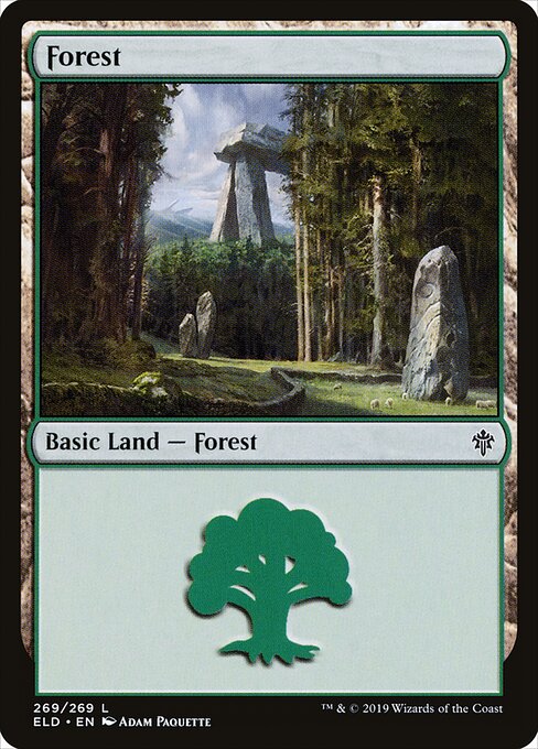 Forest — Throne of Eldraine #269, art by Adam Paquette
