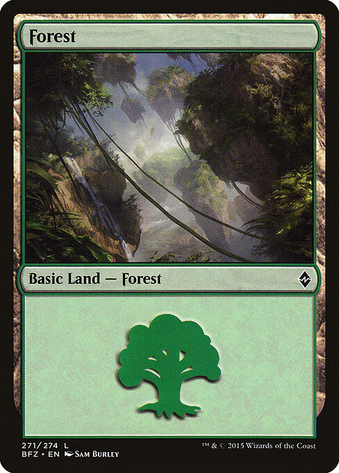 Forest — Battle for Zendikar #271a, art by Sam Burley