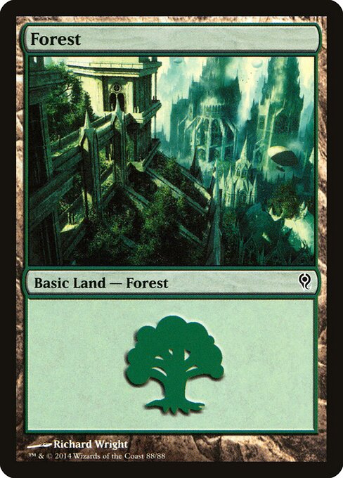 Forest — Duel Decks: Jace vs. Vraska #88, art by Richard Wright