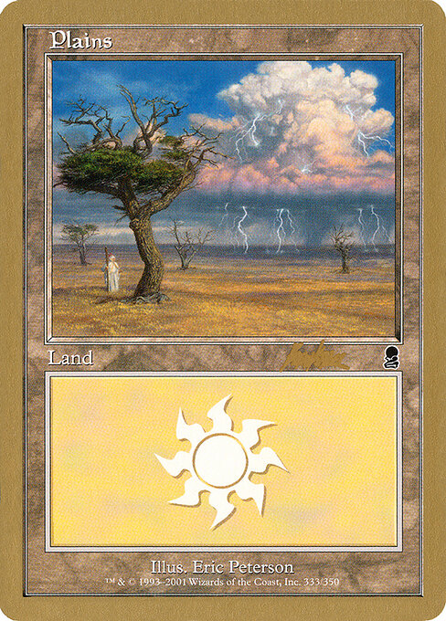 Plains — World Championship Decks 2002 #bk333, art by Eric Peterson