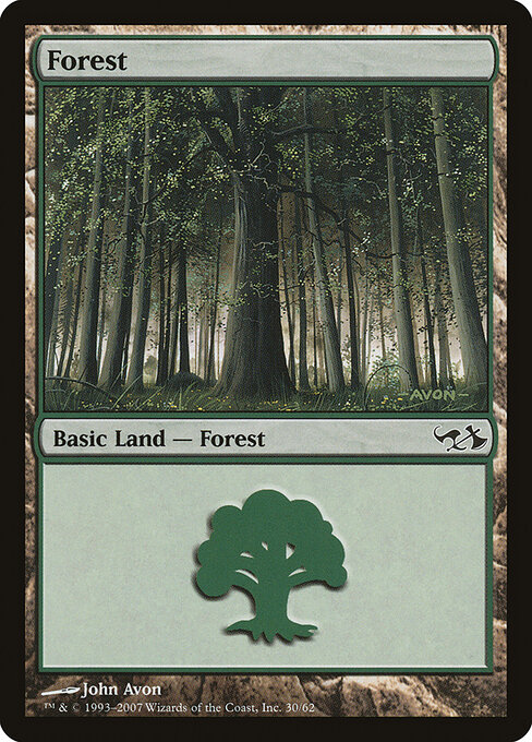 Forest — Duel Decks: Elves vs. Goblins #30, art by John Avon