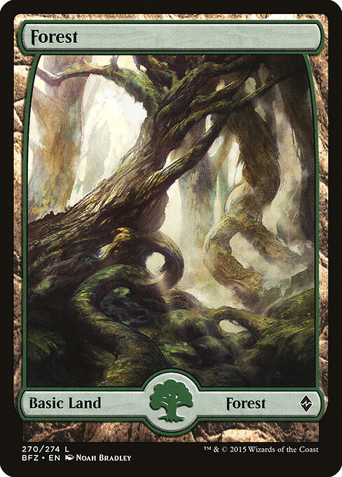 Forest — Battle for Zendikar #270, art by Noah Bradley