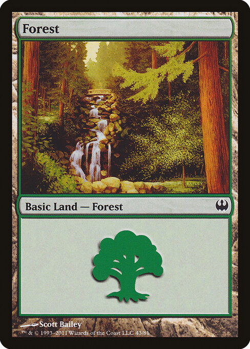 Forest — Duel Decks: Knights vs. Dragons #43, art by Scott Bailey