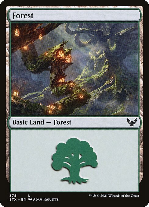 Forest — Strixhaven: School of Mages #375, art by Adam Paquette
