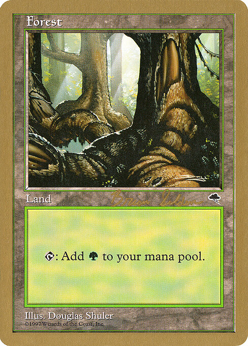 Forest — World Championship Decks 1998 #bs348, art by Douglas Shuler