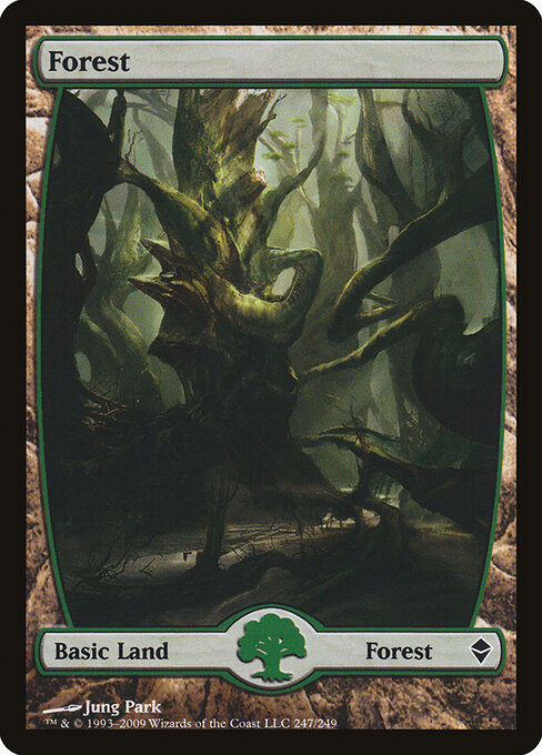 Forest — Zendikar #247, art by Jung Park