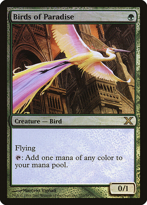 Birds of Paradise — Tenth Edition #252★, art by Marcelo Vignali