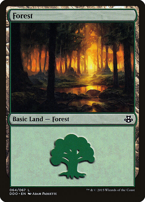 Forest — Duel Decks: Elspeth vs. Kiora #64, art by Adam Paquette