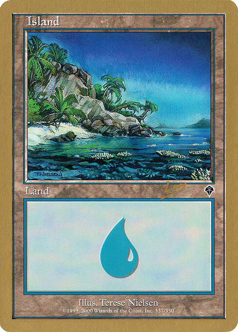 Island — World Championship Decks 2002 #rl337a, art by Terese Nielsen