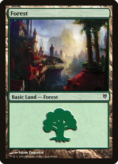 Forest — Duel Decks: Jace vs. Vraska #86, art by Adam Paquette