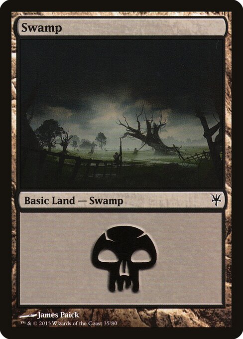Swamp — Duel Decks: Sorin vs. Tibalt #35, art by James Paick