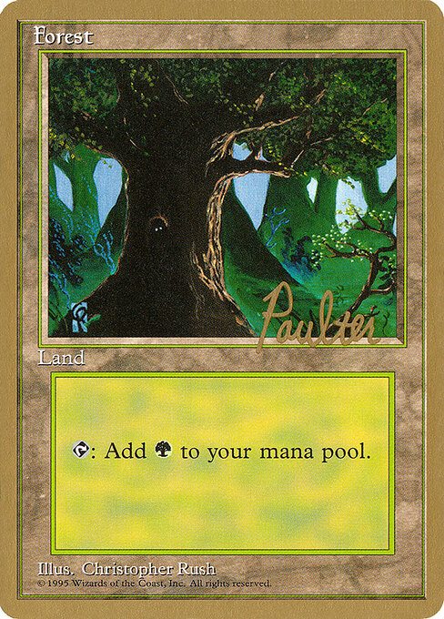 Forest — Pro Tour Collector Set #pp377, art by Christopher Rush