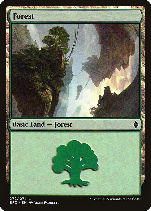 Forest — Battle for Zendikar #272a, art by Adam Paquette
