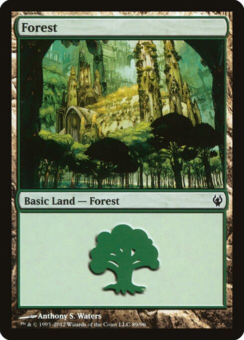 Forest — Duel Decks: Izzet vs. Golgari #89, art by Anthony S. Waters