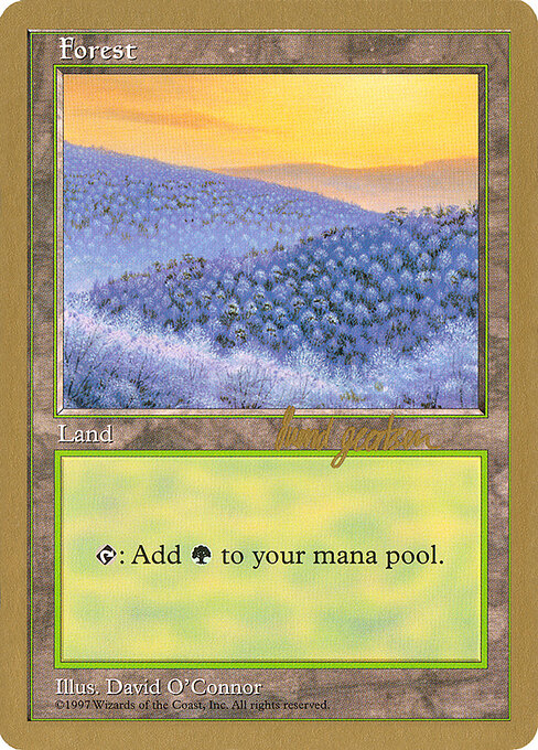 Forest — World Championship Decks 1997 #sg449, art by David O'Connor