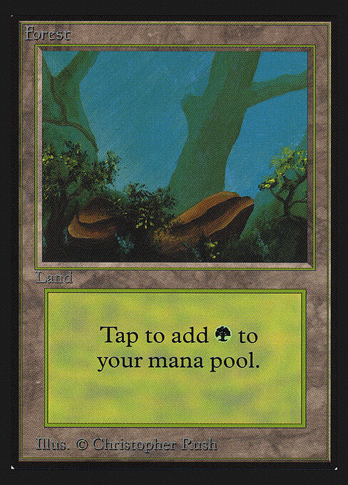 Forest — Intl. Collectors' Edition #300, art by Christopher Rush