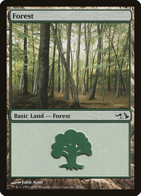 Forest — Duel Decks: Elves vs. Goblins #29, art by John Avon