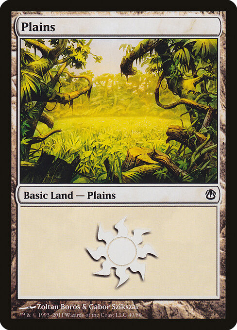 Plains — Duel Decks: Ajani vs. Nicol Bolas #40, art by Zoltan Boros & Gabor Szikszai