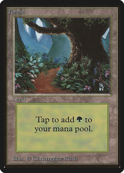 Forest — Limited Edition Beta #301, art by Christopher Rush