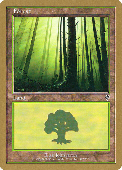Forest — World Championship Decks 2001 #jt347, art by John Avon
