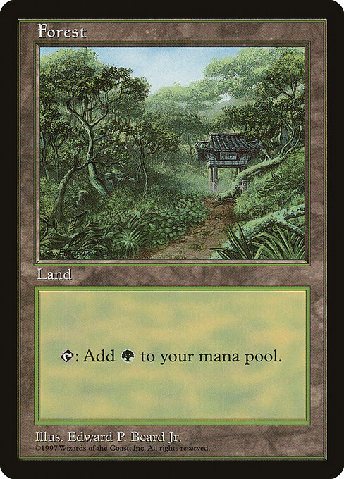 Forest — Asia Pacific Land Program #11, art by Edward P. Beard, Jr.