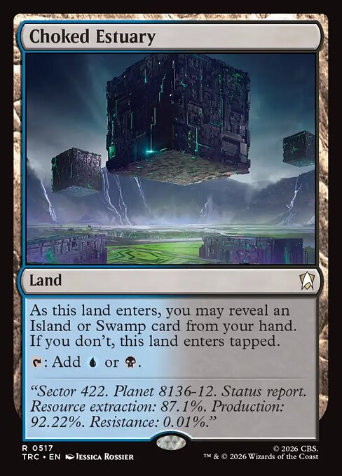 Choked Estuary