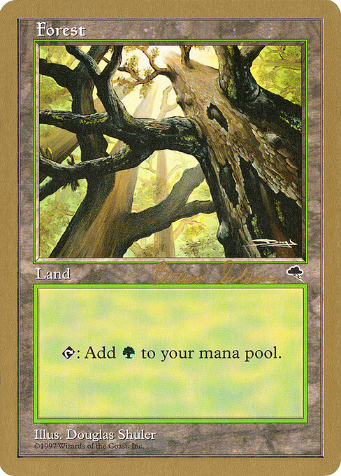 Forest — World Championship Decks 1998 #bs347, art by Douglas Shuler