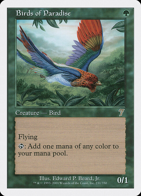 Birds of Paradise — Seventh Edition #231, art by Edward P. Beard, Jr.
