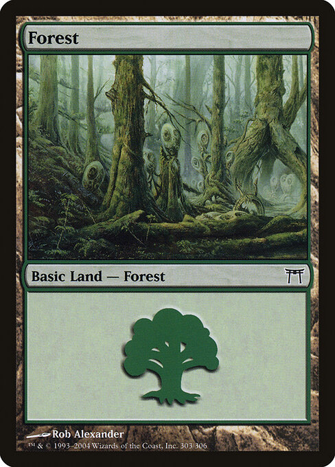 Forest — Champions of Kamigawa #303, art by Rob Alexander