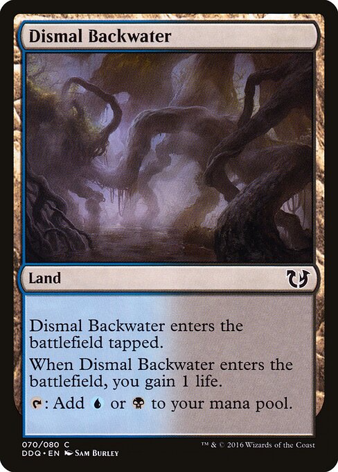 Dismal Backwater — Duel Decks: Blessed vs. Cursed #70, art by Sam Burley