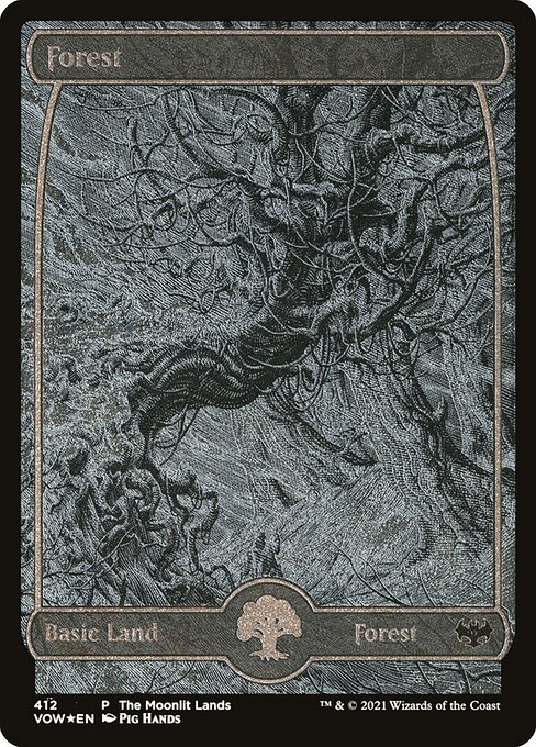 Forest — Innistrad: Crimson Vow #412, art by Pig Hands