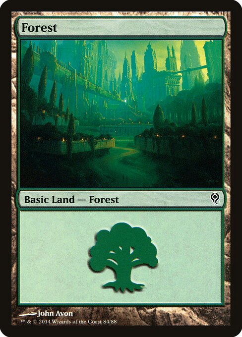 Forest — Duel Decks: Jace vs. Vraska #84, art by John Avon