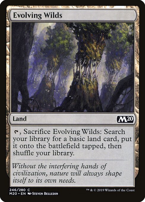 Evolving Wilds — Core Set 2020 #246, art by Steven Belledin