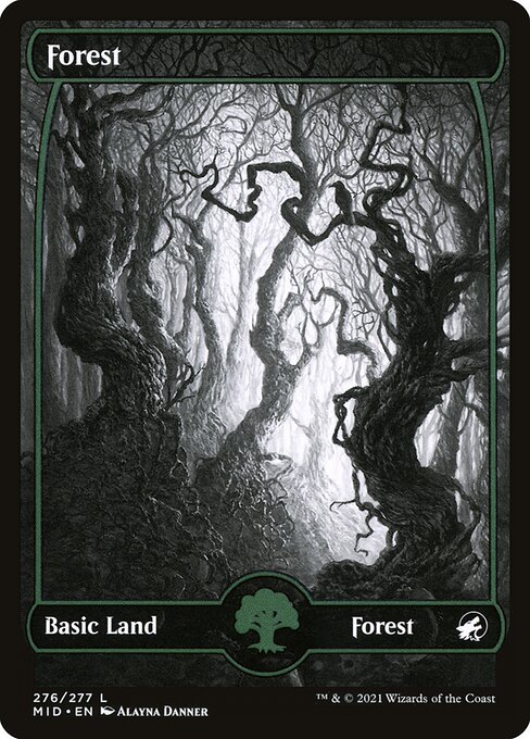 Forest — Innistrad: Midnight Hunt #276, art by Alayna Danner