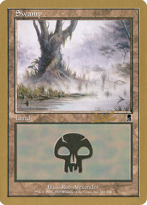Swamp — World Championship Decks 2002 #cr341, art by Rob Alexander